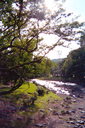 027-20.jpg