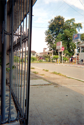 247-2.jpg