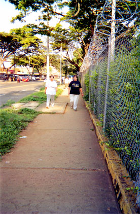 096-6.jpg