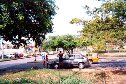 515-19.jpg