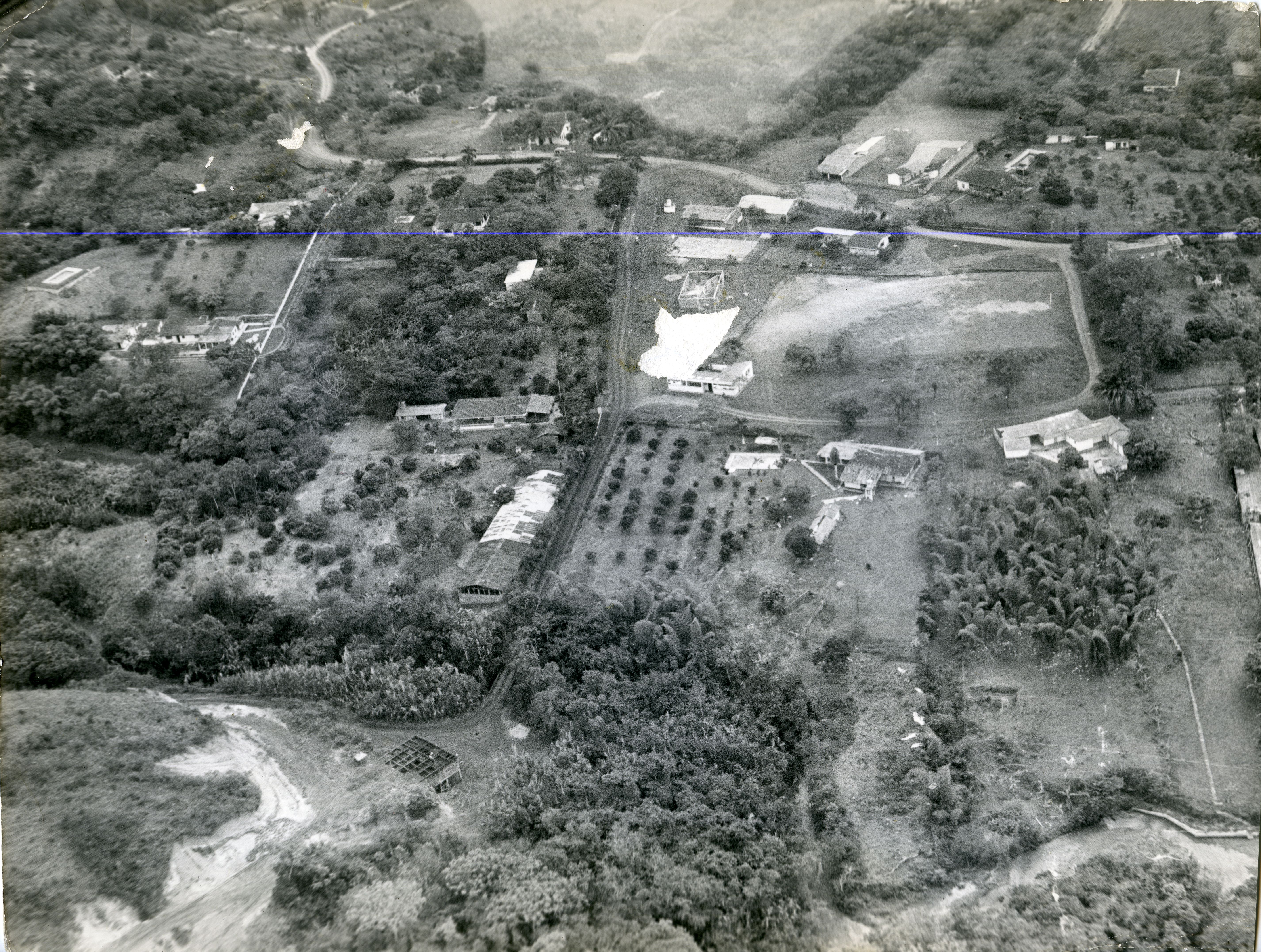 FDO021990.jpg