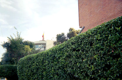 374-25.jpg