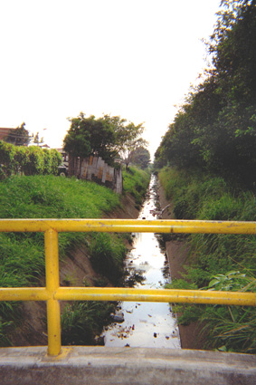253-11.jpg