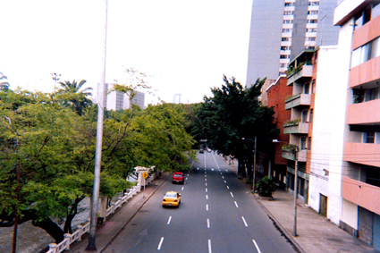 519-5.jpg