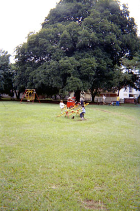 437-23.jpg