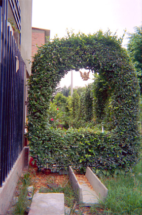 118-3.jpg