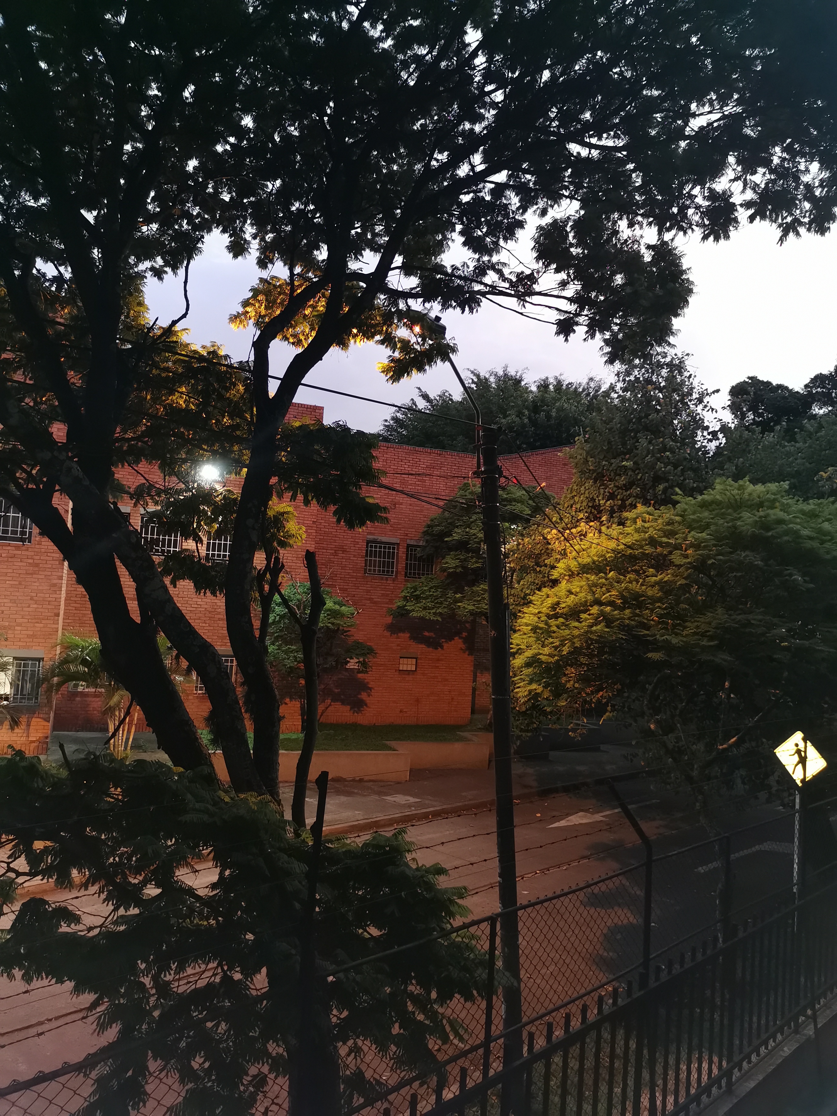 RFV000233.jpg