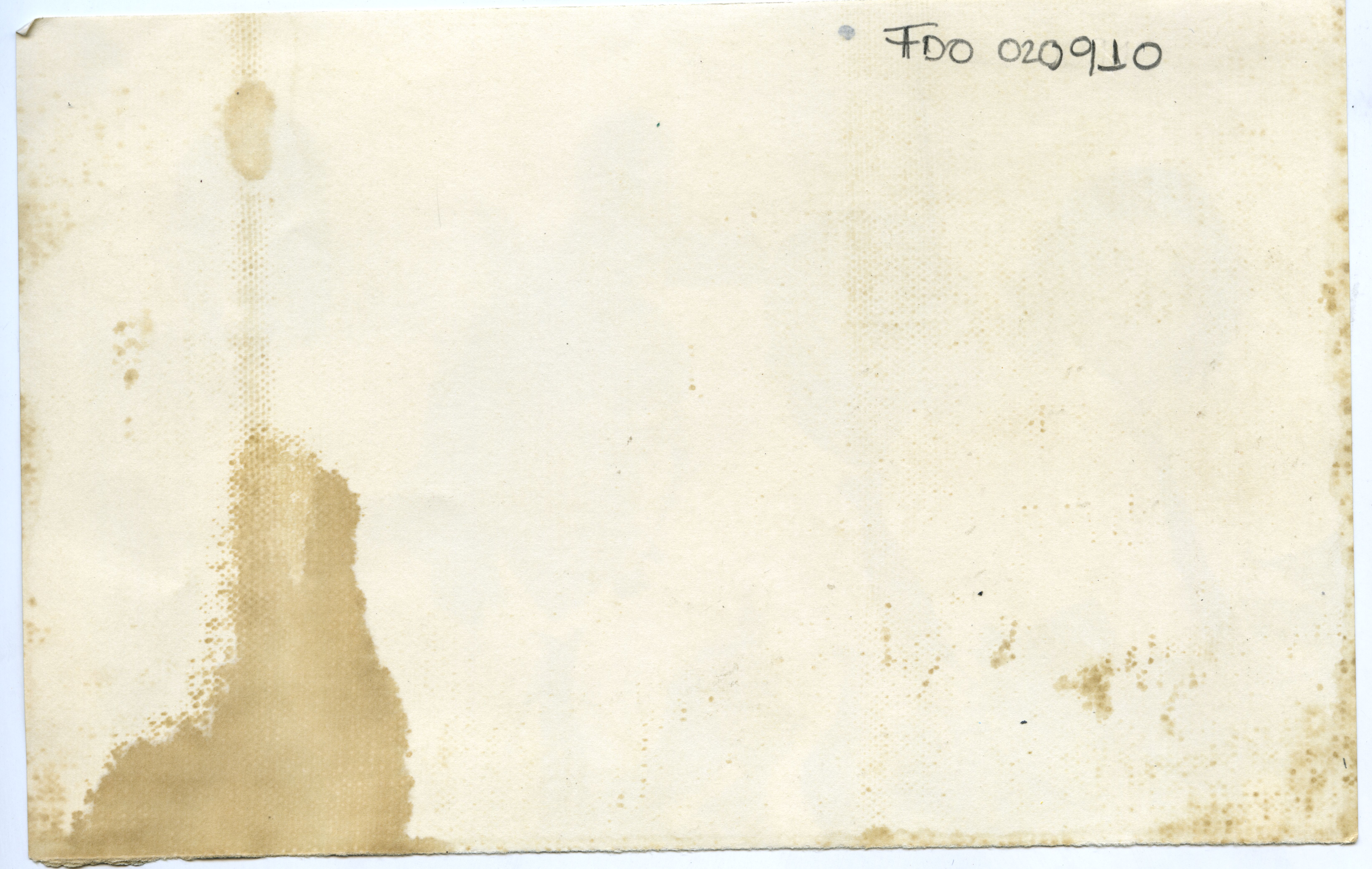FDO020910A.jpg