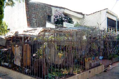 349-14.jpg