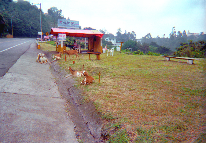 008-12.jpg