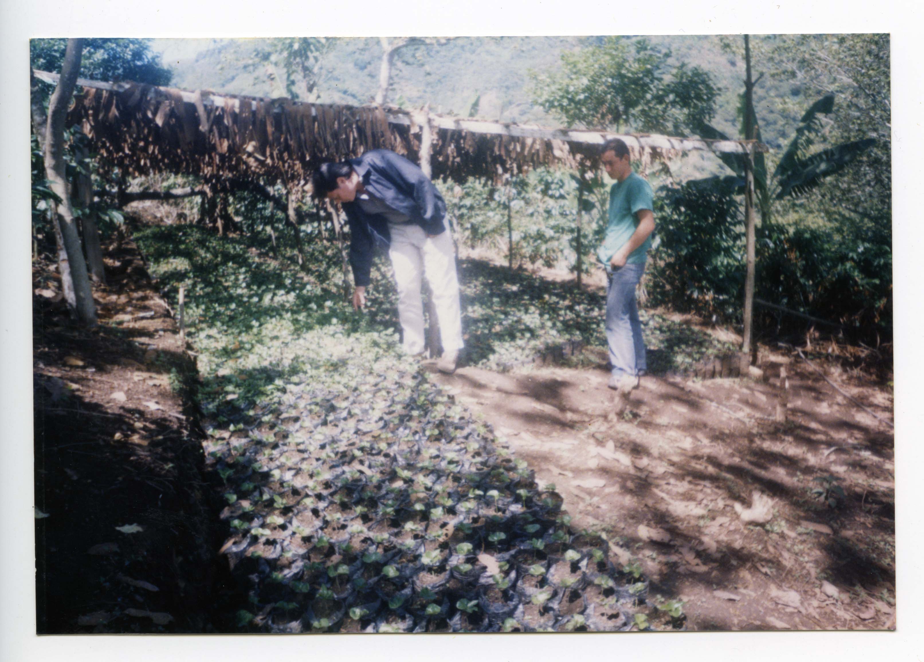 PCCC0525.jpg