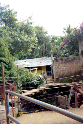 463-10.jpg
