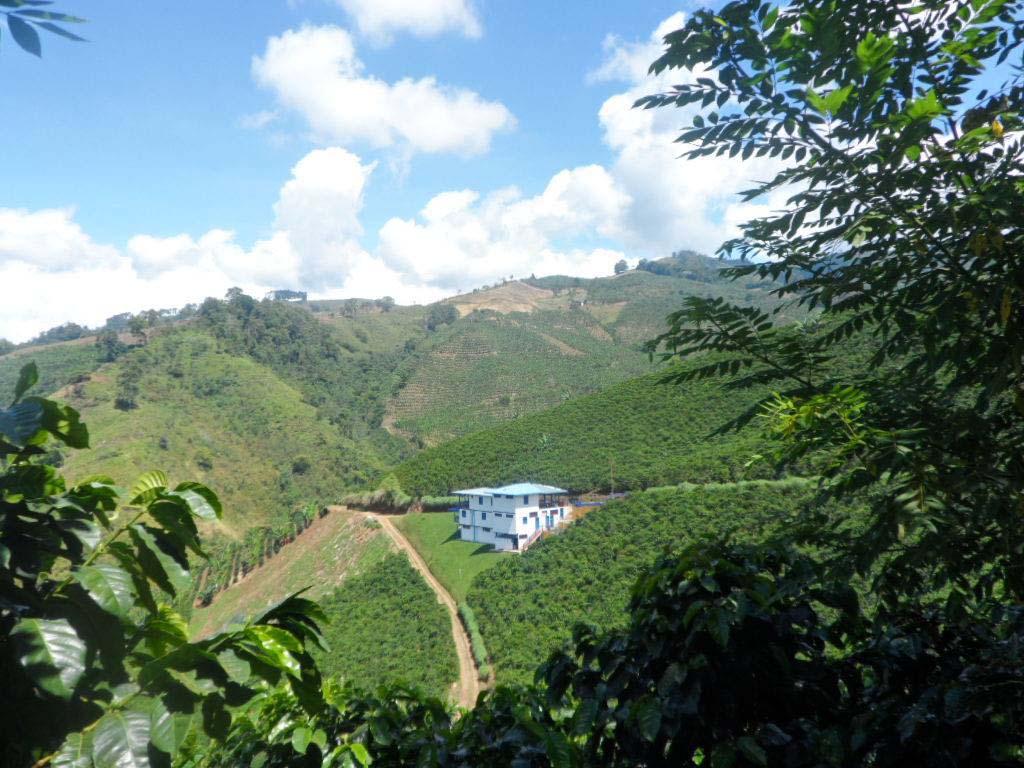 PCCC1199_Trujillo vereda la marina.jpg