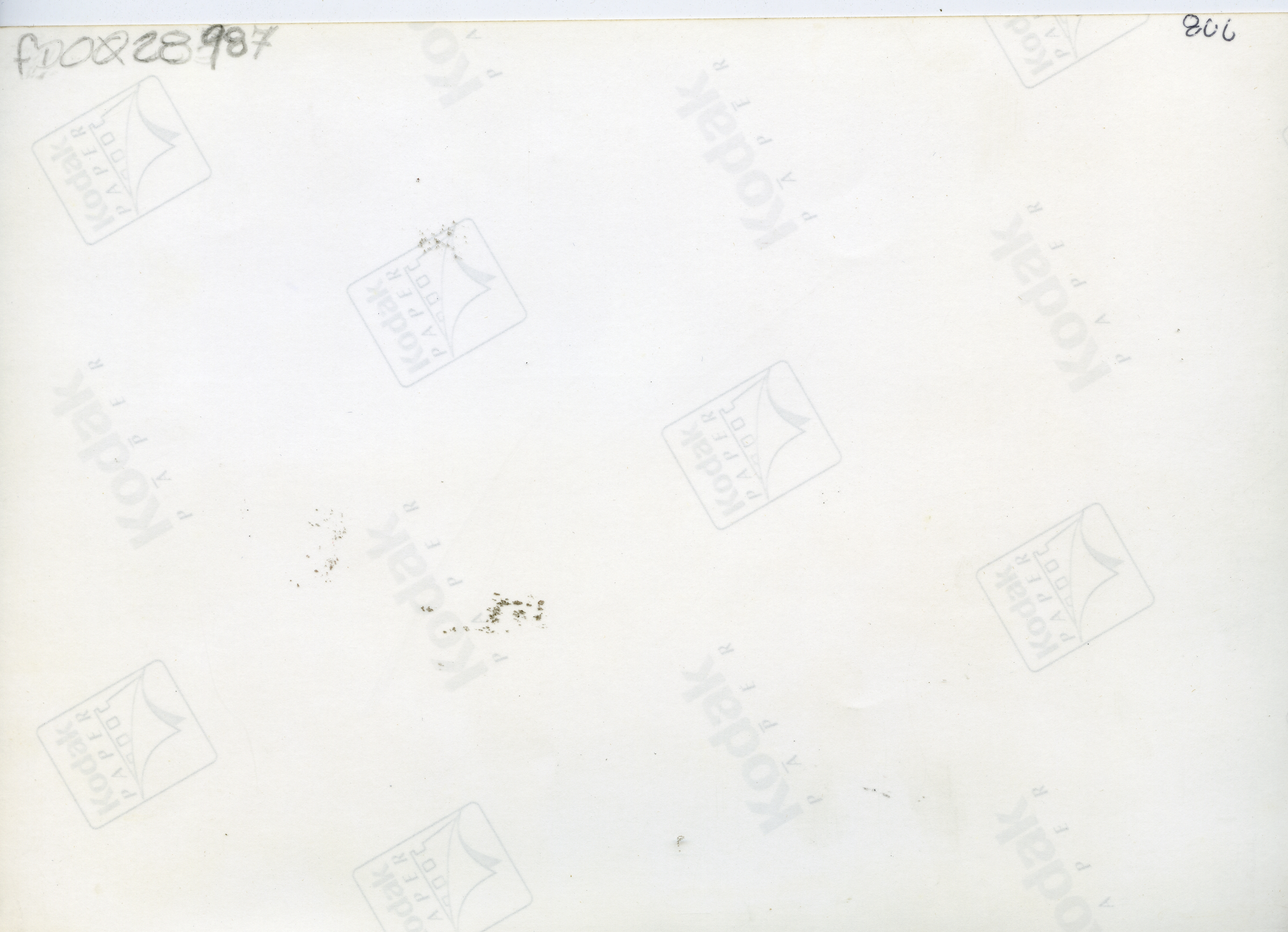 FDO028987A.jpg
