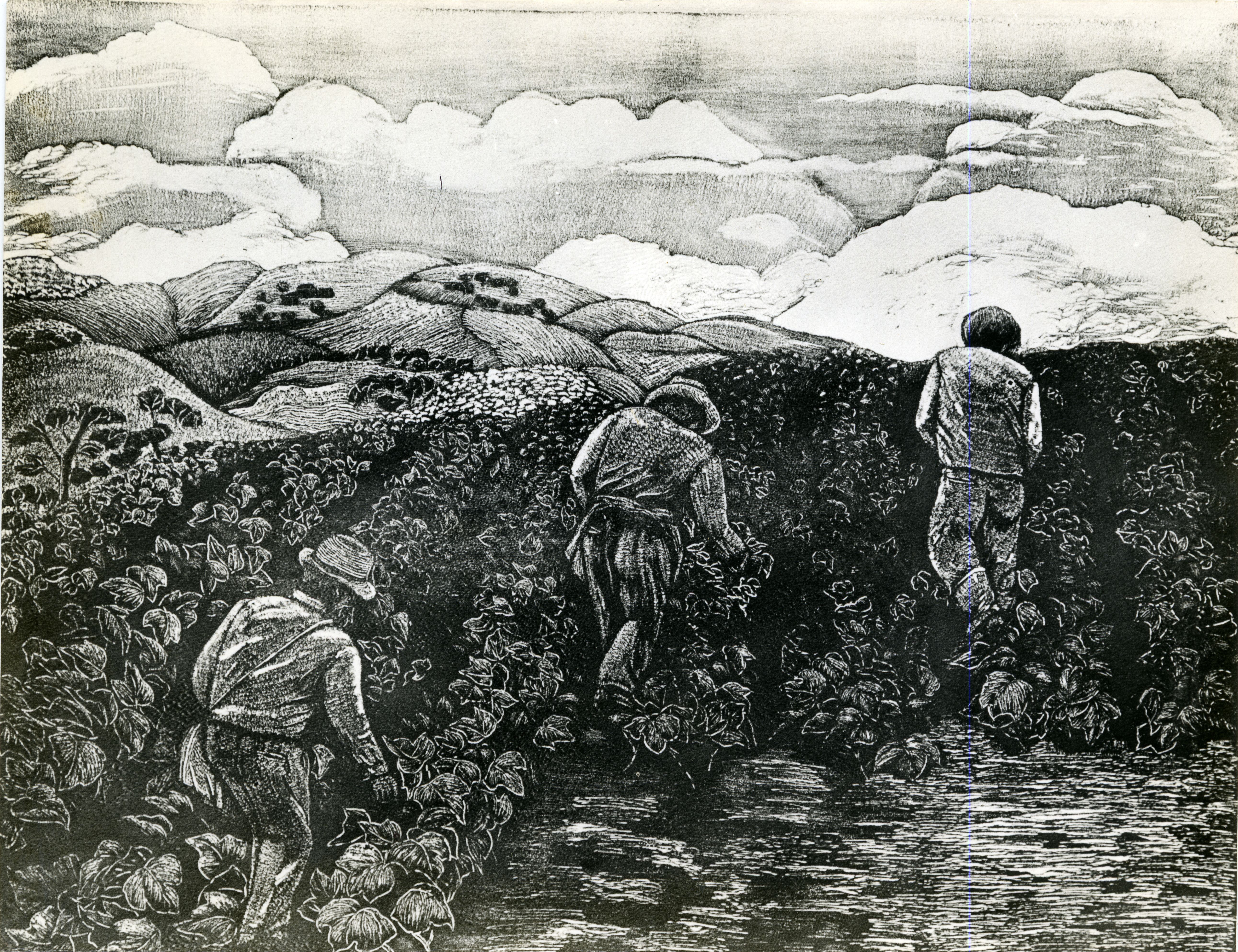 FDO021265.jpg