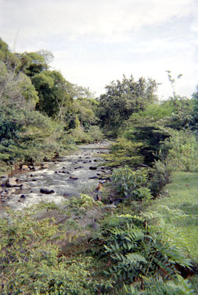 381-16.jpg