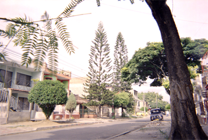 176-10.jpg
