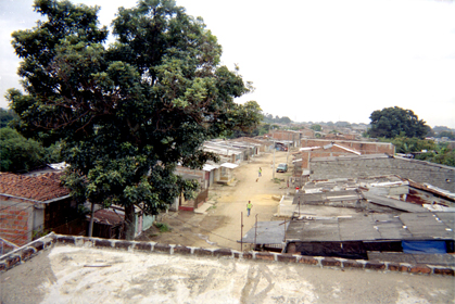 293-9.jpg