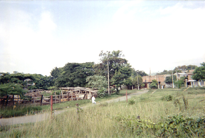 370-19.jpg