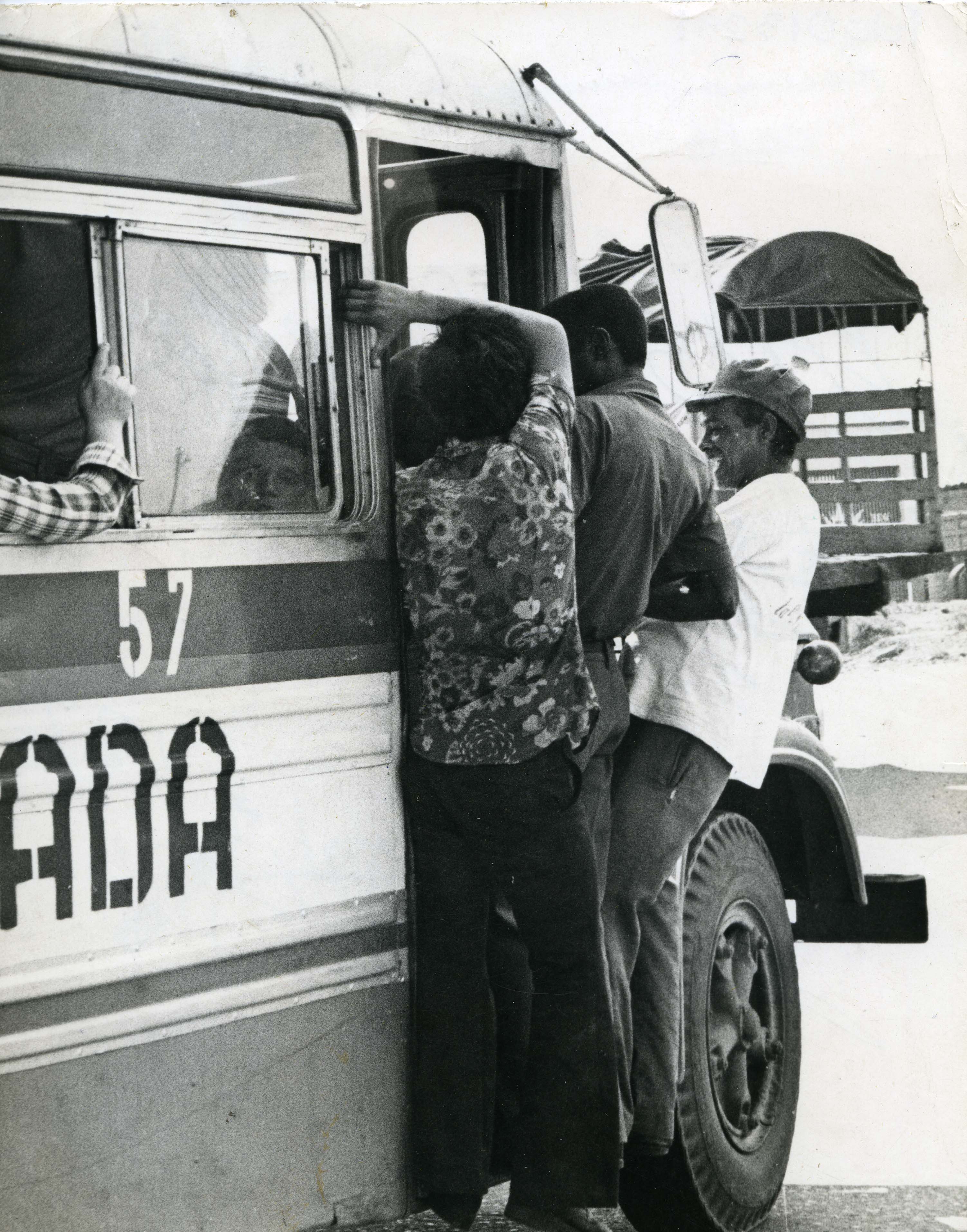 FDO013291.jpg