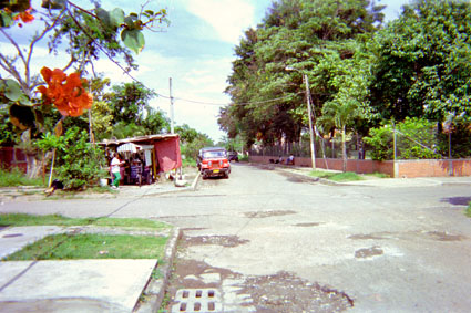 335-13.jpg
