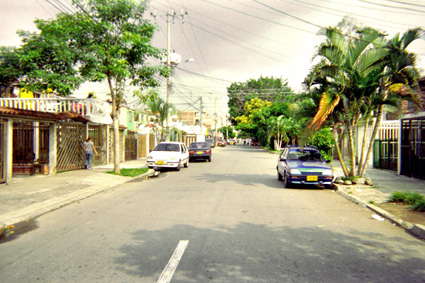 119-3.jpg