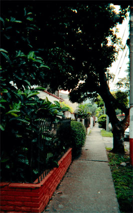 038-18.jpg