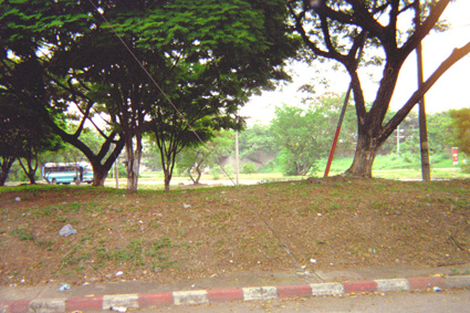 183-1.jpg