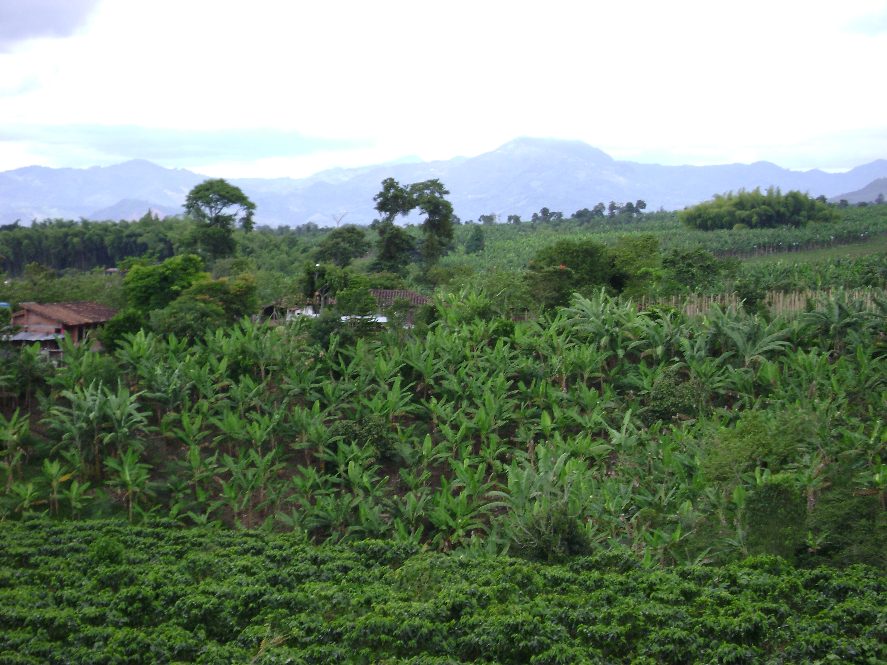 PCCC0837.jpg