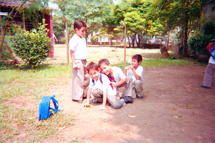 034-15.jpg