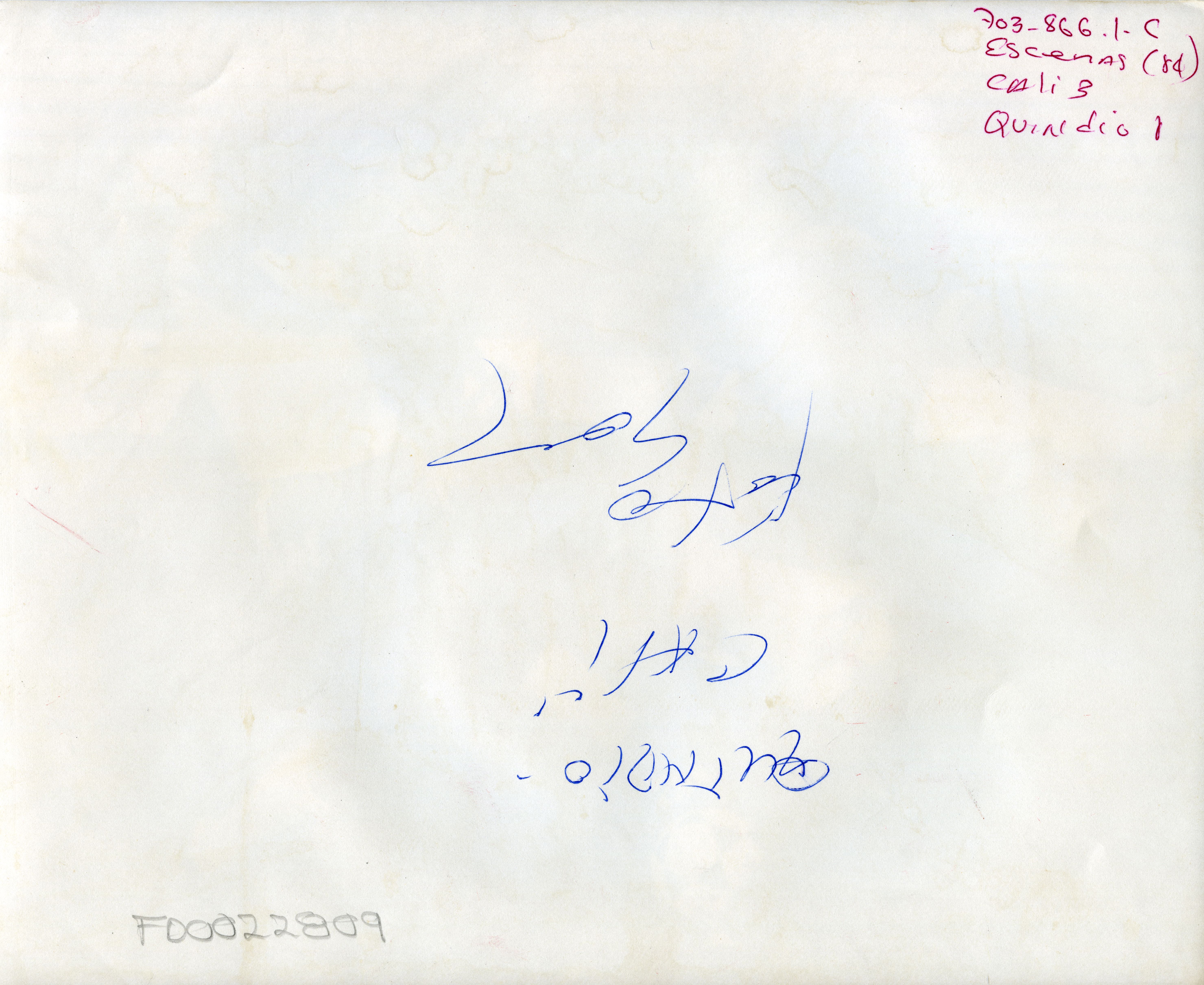 FDO022809A.jpg