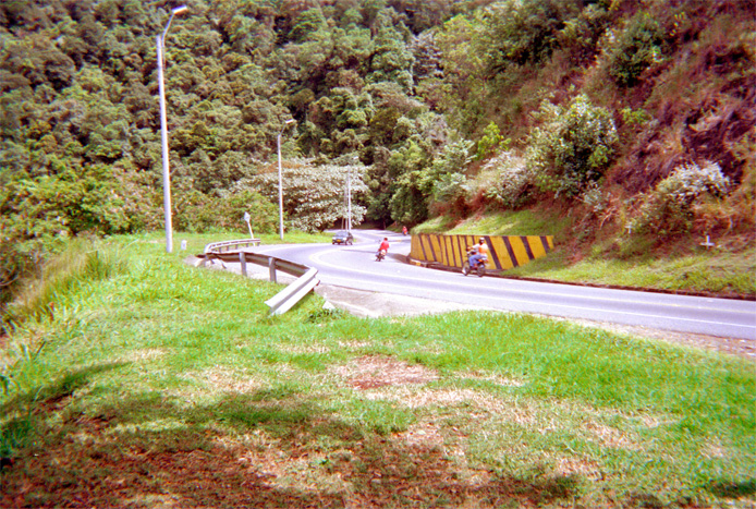 008-7.jpg