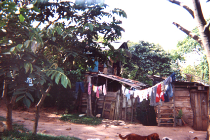 505-17.jpg