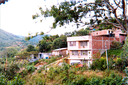 507-11.jpg