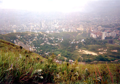 043-7.jpg