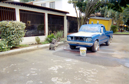 342-7.jpg
