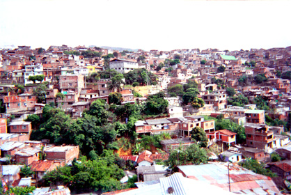012-16.jpg