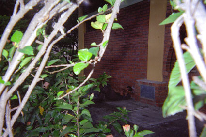 337-8.jpg