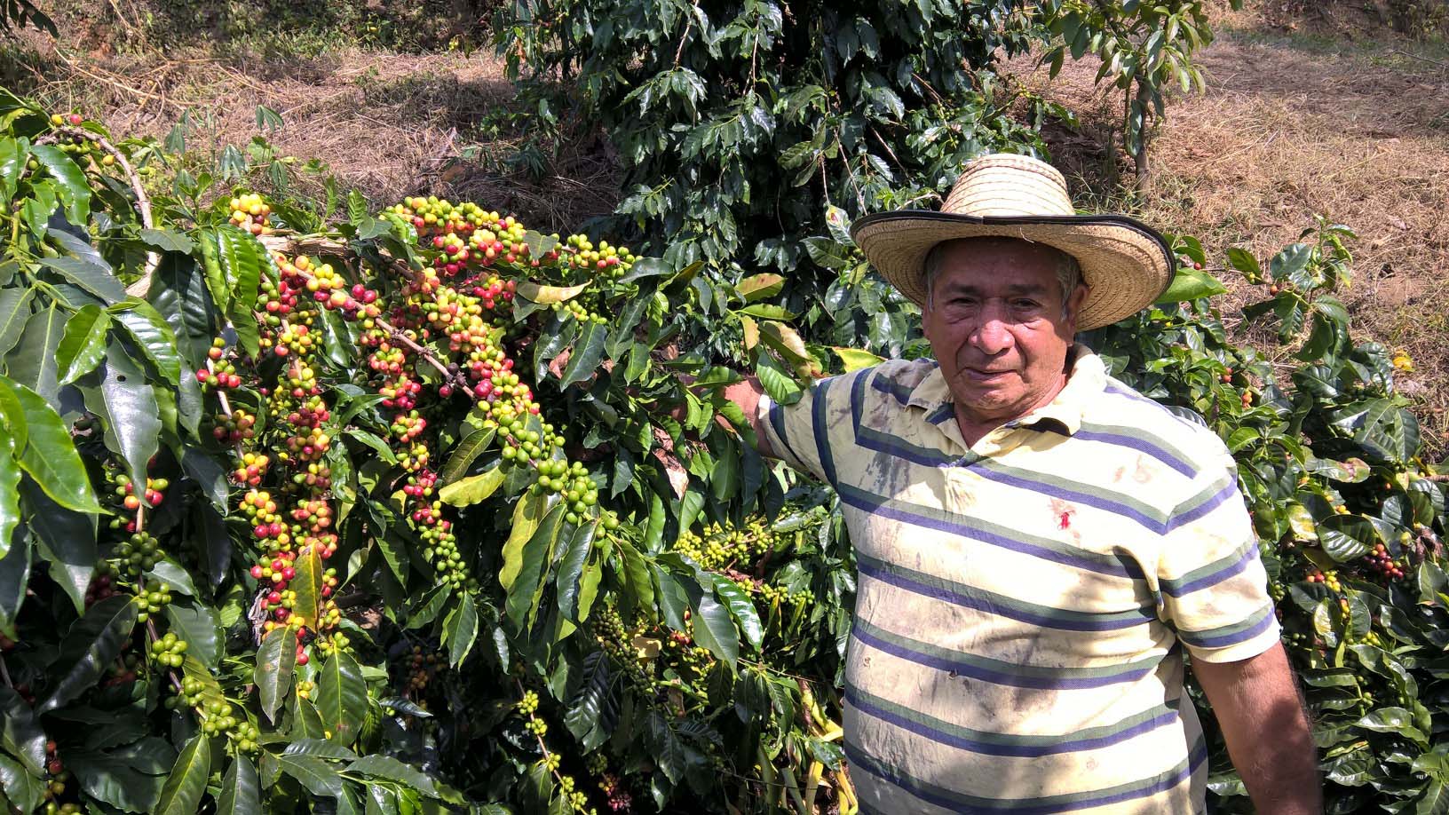 PCCC1028_Anibal Suarez_Vereda La Cedalia.jpg