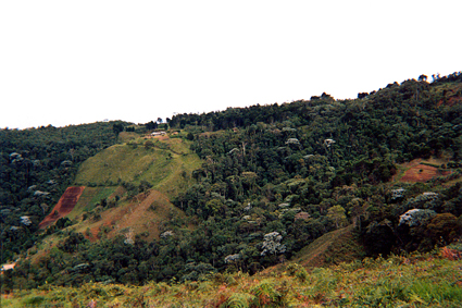 506-28.jpg