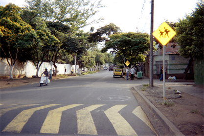 382-25.jpg