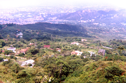499-20.jpg