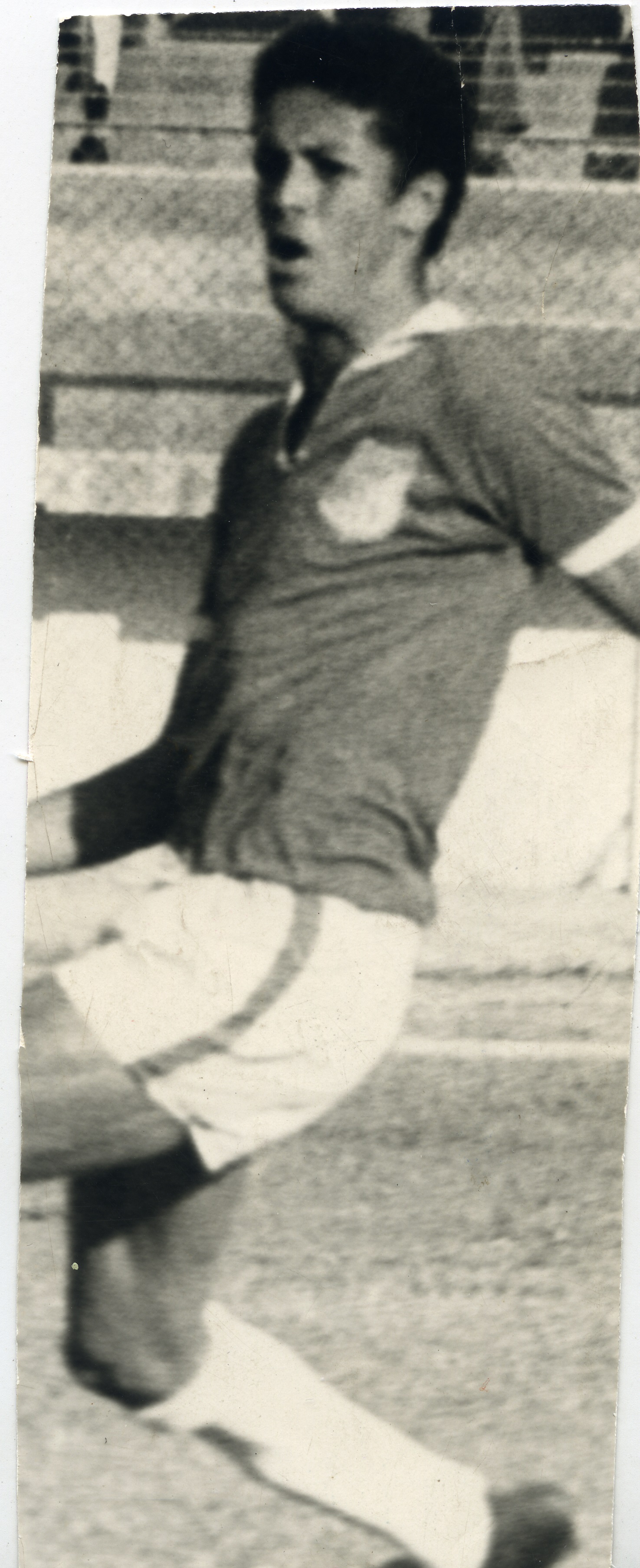 FDO017567.jpg