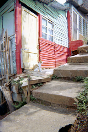 463-31.jpg