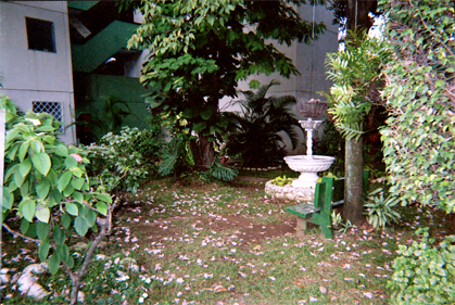 364-13.jpg