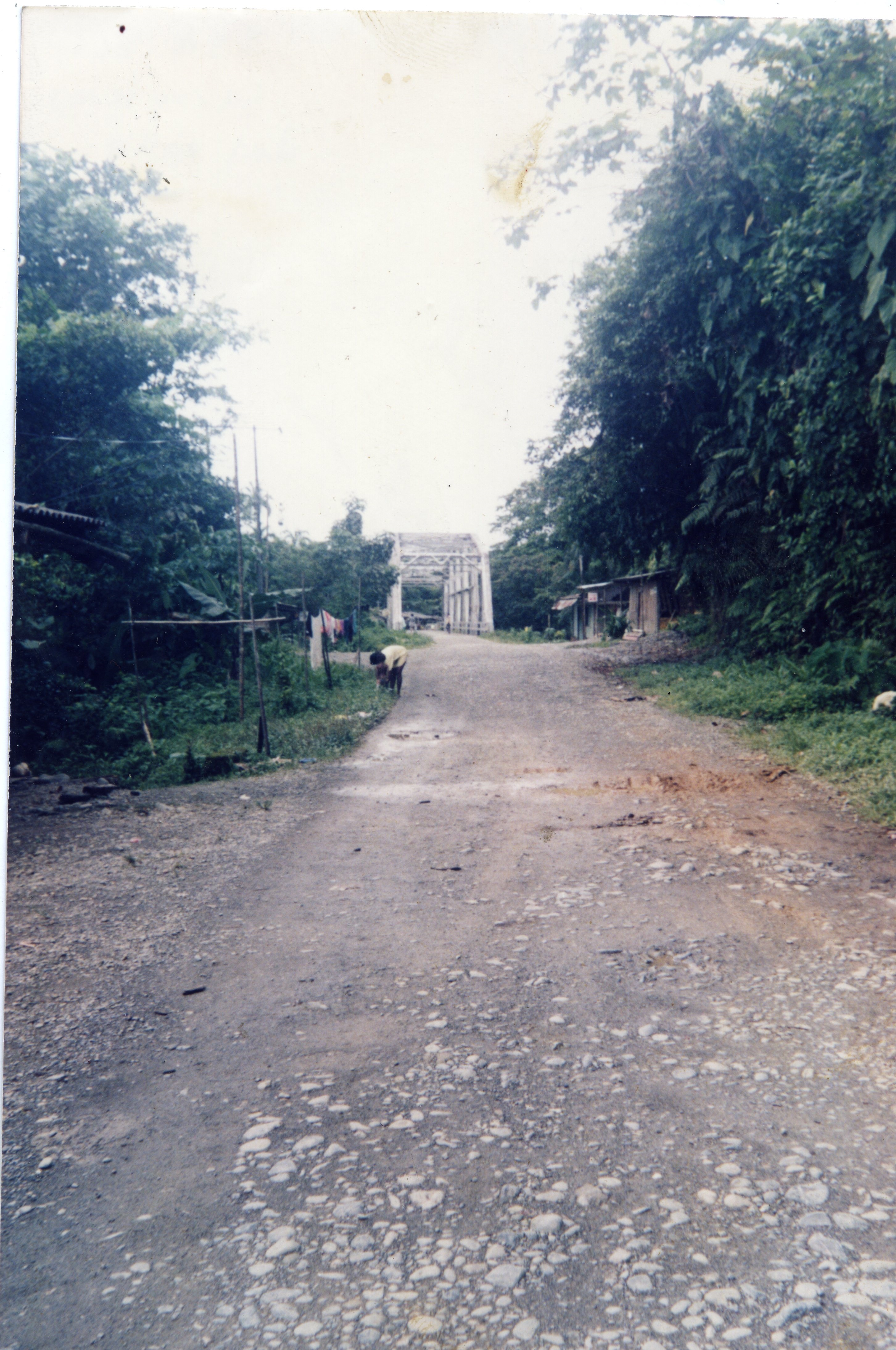 FDO016888.jpg