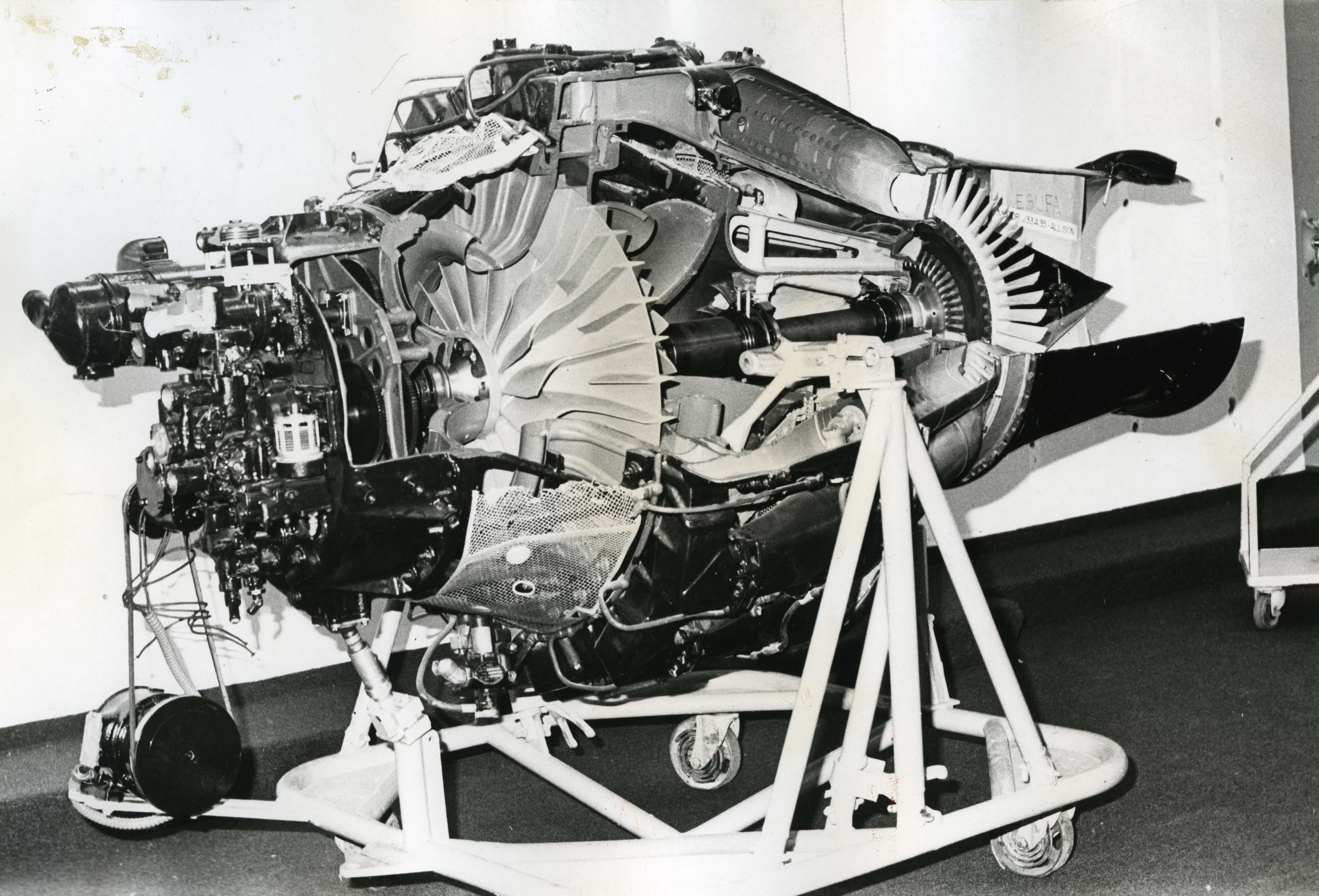 FDO05909.jpg