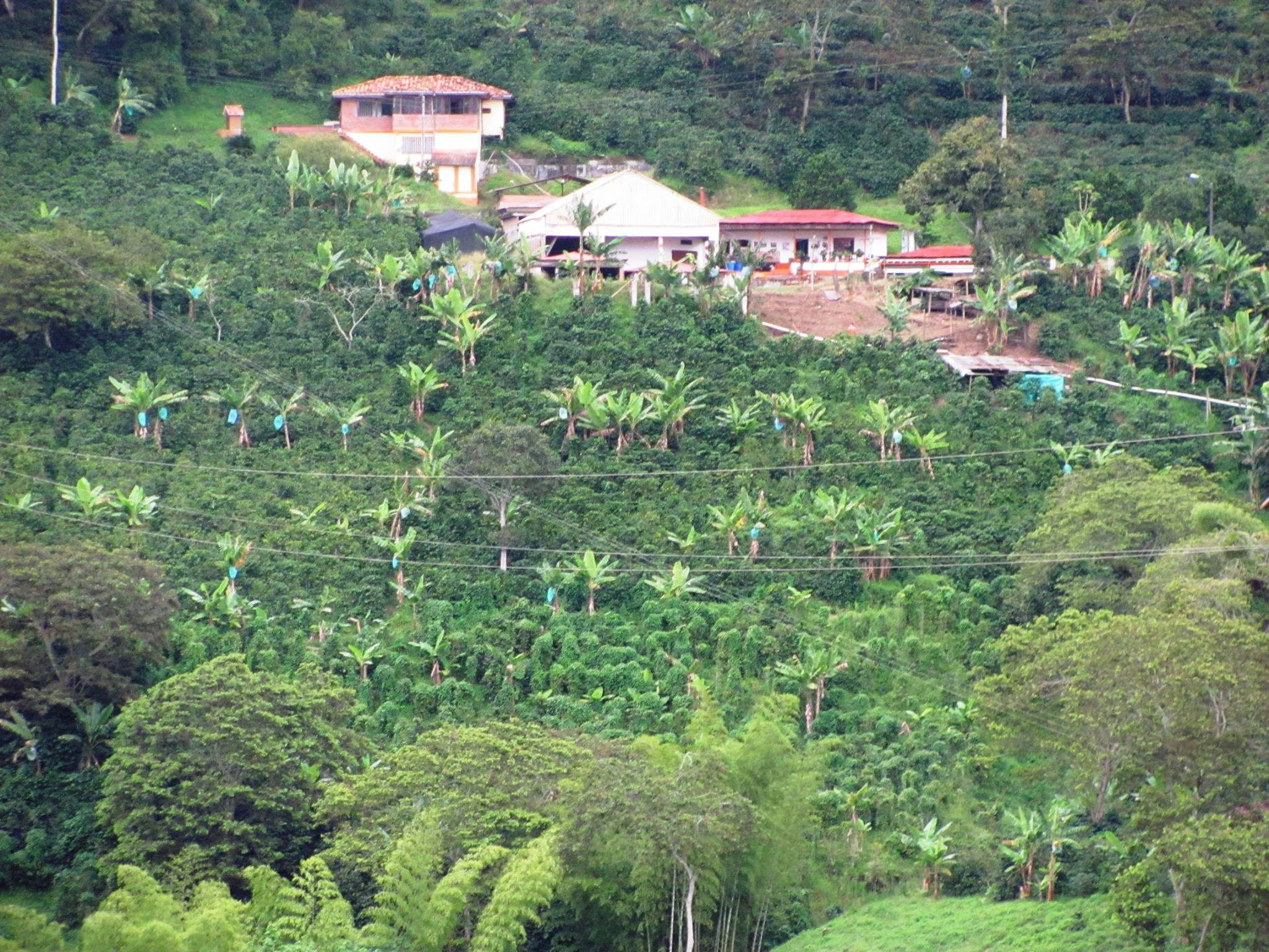 PCCC0200.jpg