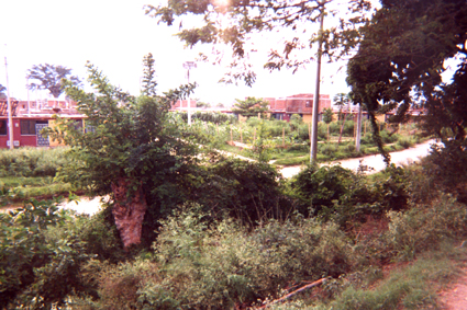 489-4.jpg