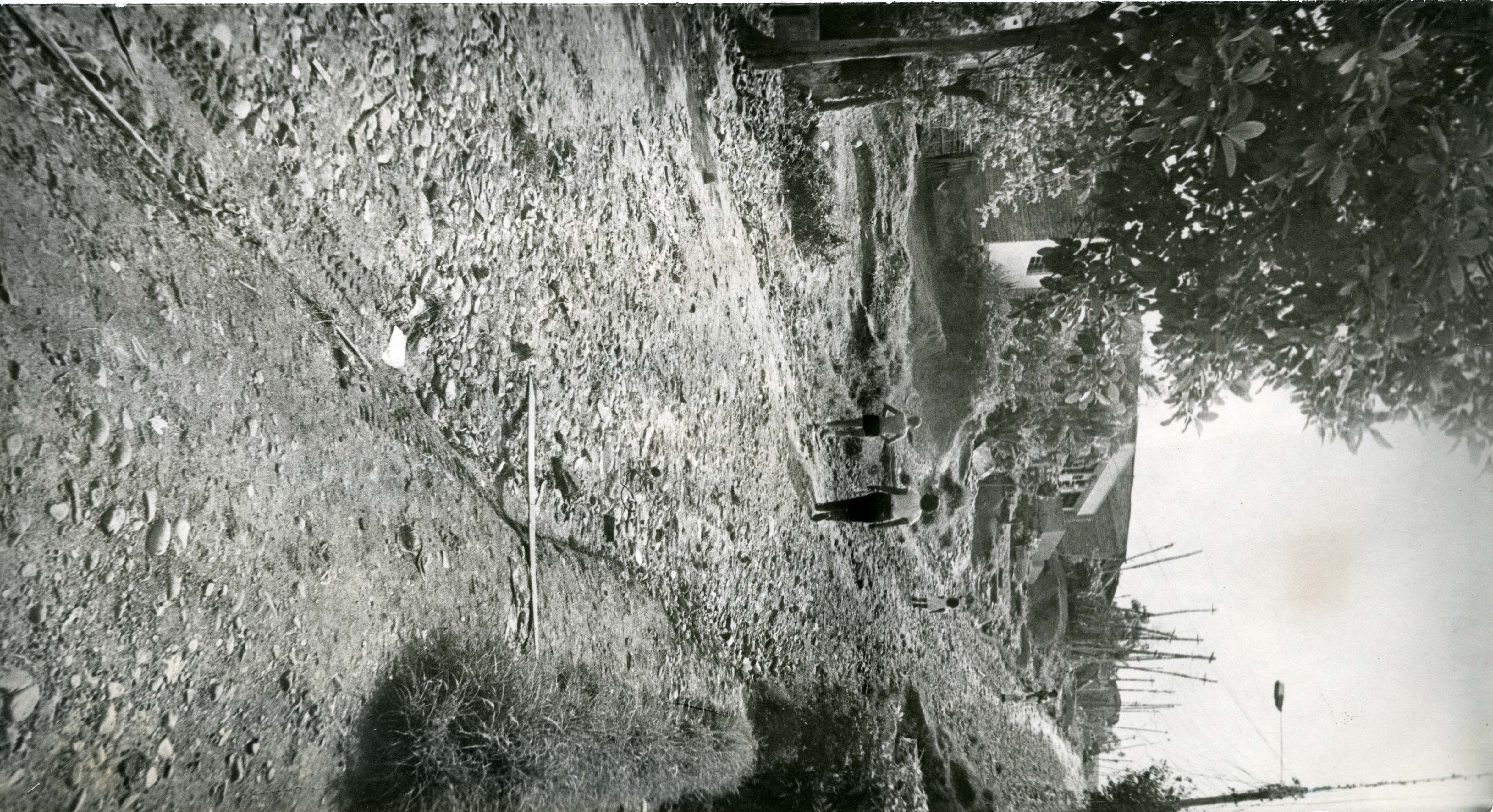 Fdo013400.jpg